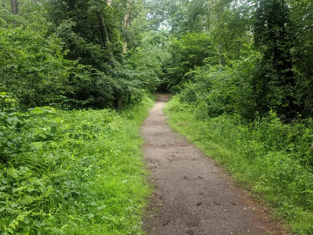 Bradley Palmer State Park