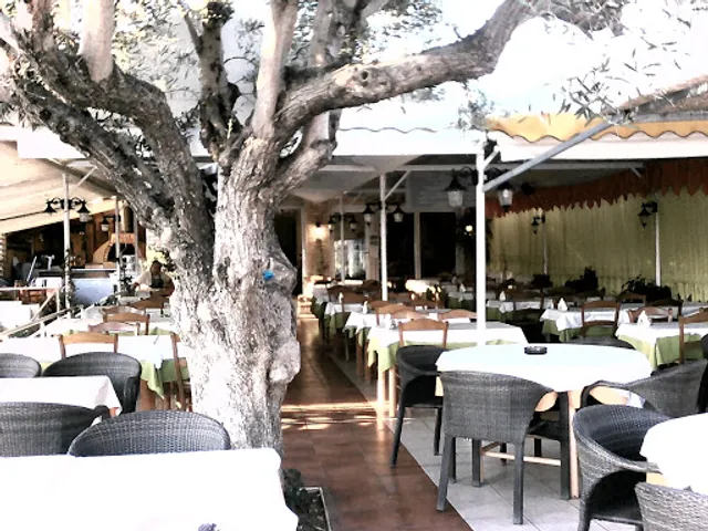 Marco Polo Taverna Grill