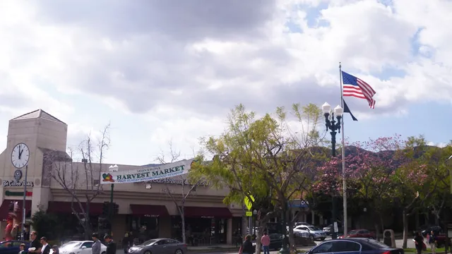 Montrose Shopping Park Association