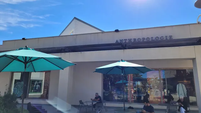 Anthropologie