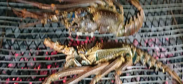 Marco Polo Resto & Bar