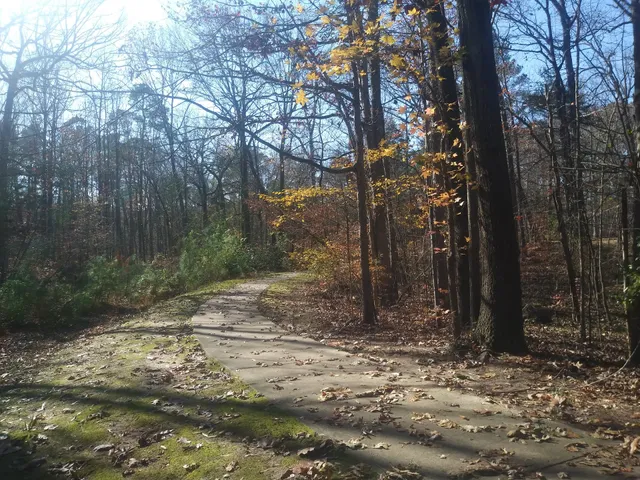 Cornwallis Road Park