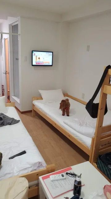 ゲストハウスcomodo