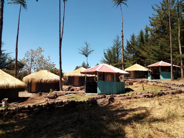 Africa Escapades Homestay