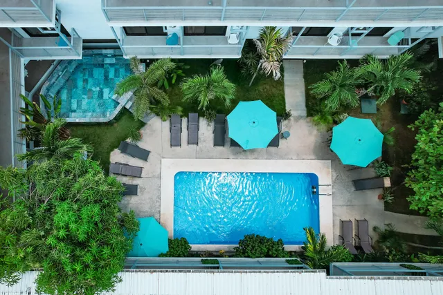 Wide Mouth Frog Hotel