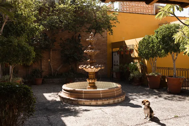 Casa Amarilla Guanajuato