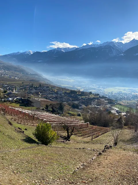 Affittacamere "Al Vicolo"