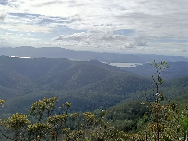 D'Aguilar National Park