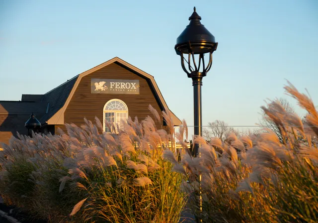 Ferox by Fabian Reis