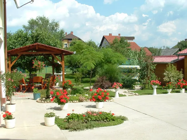 Zsuzsi Guesthouse