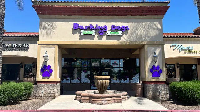 Barking Dogs self-wash and Grooming
