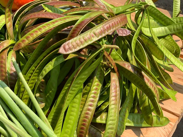 Lemon Hill Farmer's Market