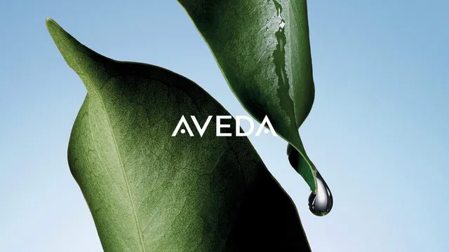 Philip Johnson Salon/Spa