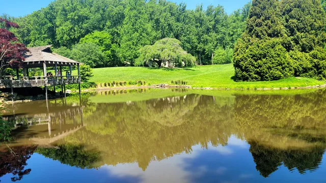 Minden Farmers Market