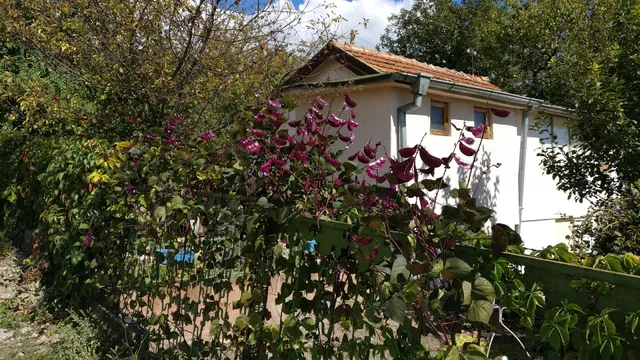 Snejanka Guest House