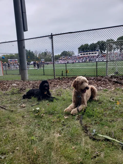 Schmidt Stadium - Wilkes University