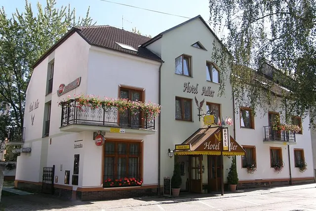 Hotel Adler