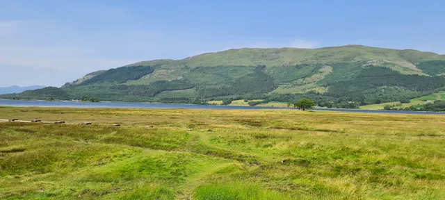 Glencoe Hidden Garden