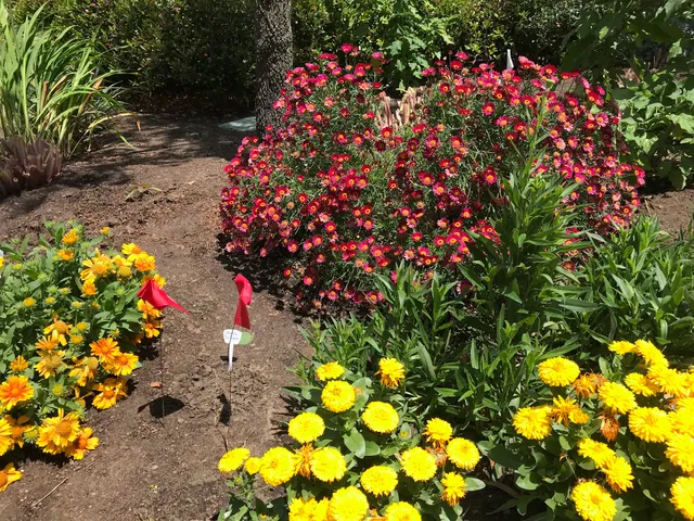 Greer Park Playground