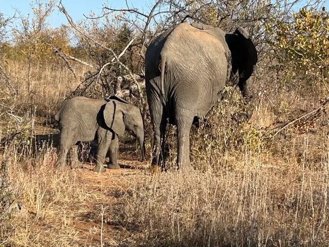 Balule Nature Reserve