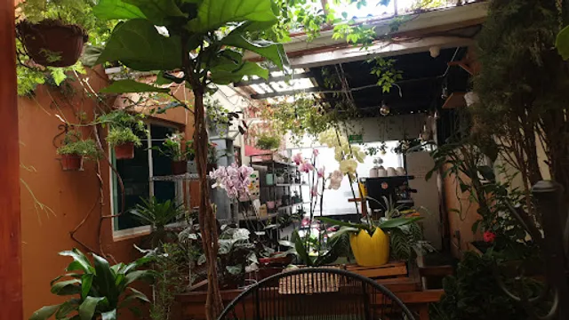 Jardín Urbano Sucursal Ramal