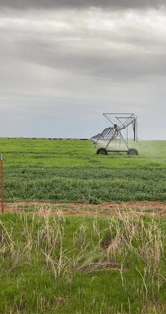 First Priority Irrigation