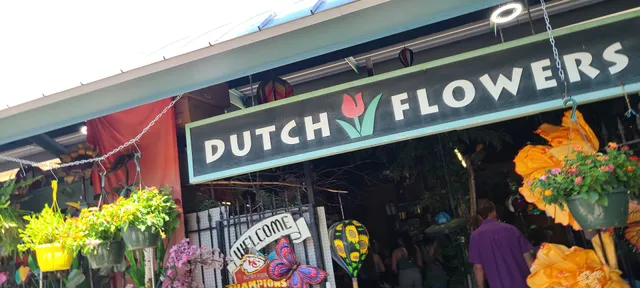 Dutch flowers