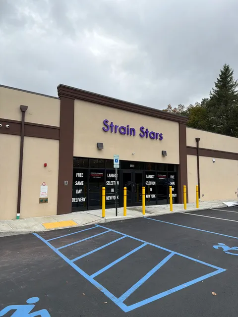 Strain Stars White Plains