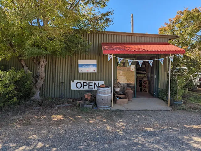 The Apple Thief - Cider House