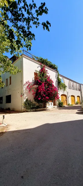 Vil·la – Villa Asfodelo