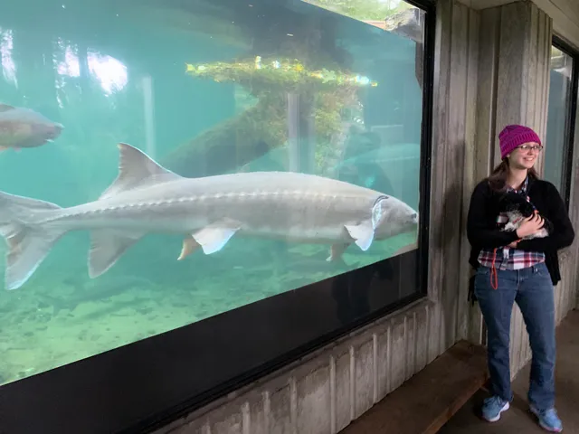 Bonneville Fish Hatchery