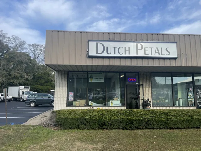 Dutch Petals