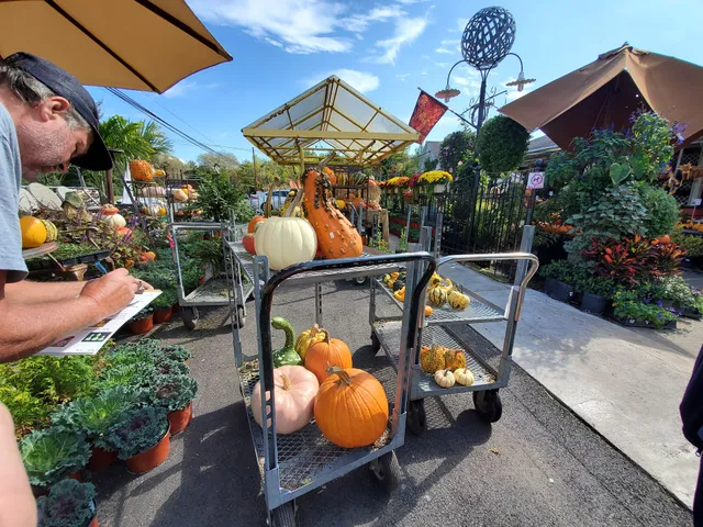 Geerlings Garden, Gift, and Patio