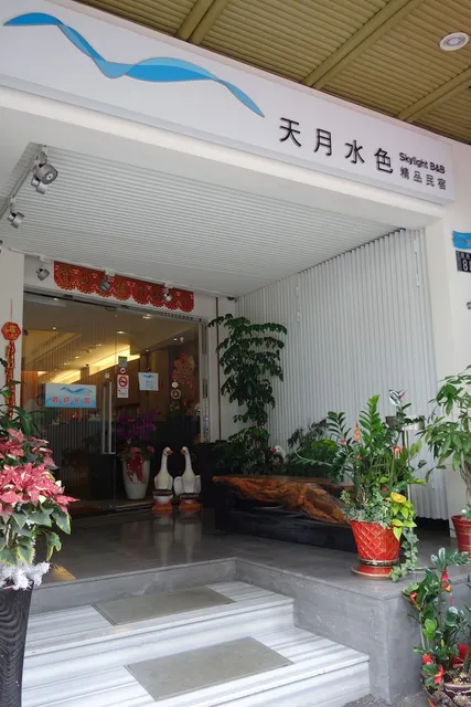 日月潭天月水色民宿 Skylight B&B