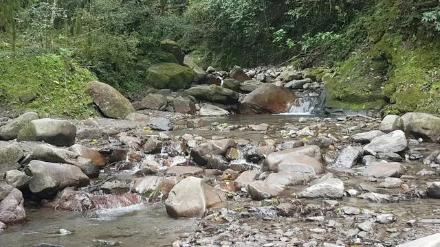 Entrada Quebrada San Lorenzo