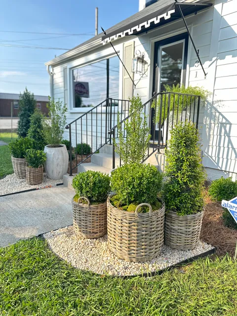 Hive Winston Salem.....A Lifestyle Boutique