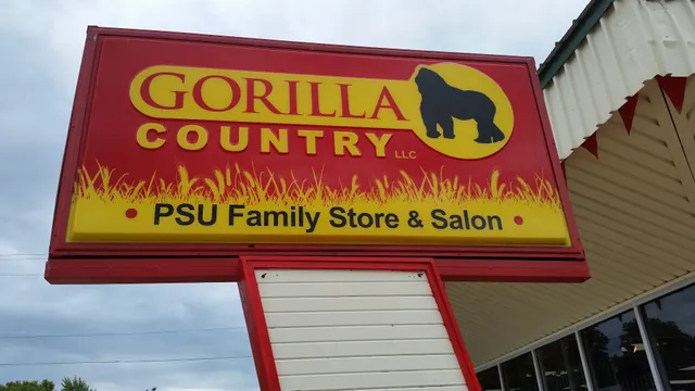 Gorilla Country