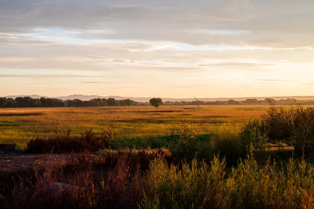 Bosque del Apache NWR Entrance Station