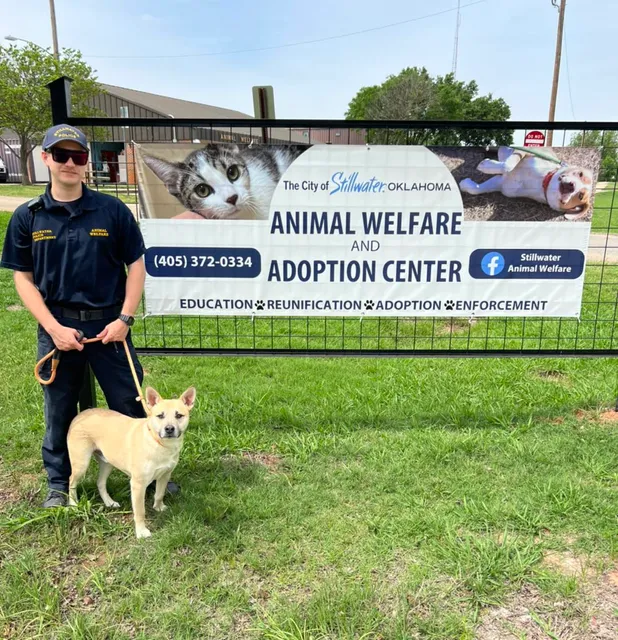 Stillwater Animal Welfare