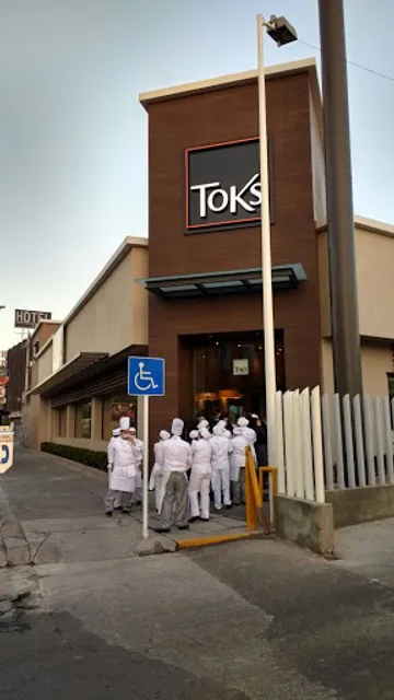 TOKS AMPLIACION SAN MIGUEL