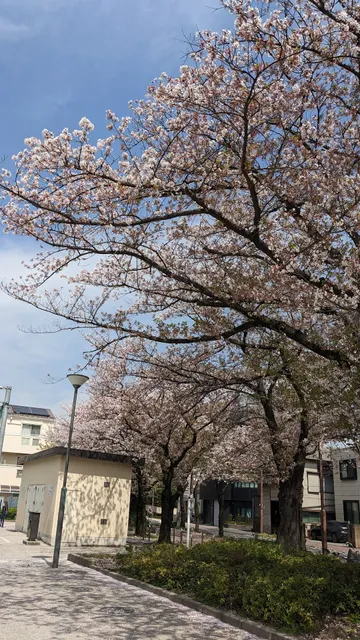 Kinegawa Central Park