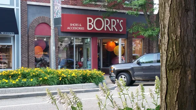 Borrs Shoes & Accessories