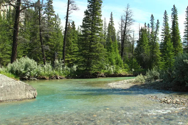 Bow Falls to Hoodoos Trail