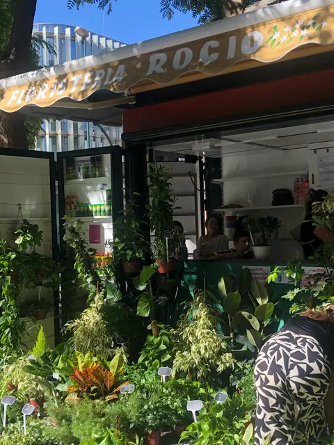 Mercadillo Barriada de El Palo