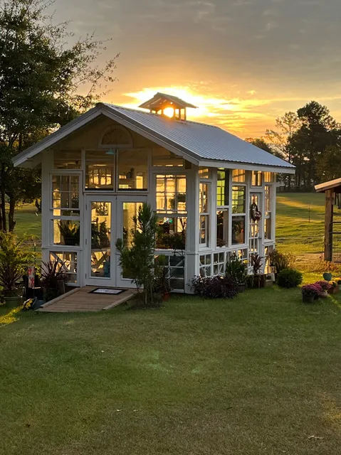 Hummingbird TINY Rental