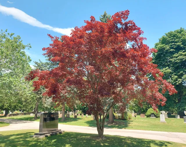 Mount Pleasant Cemetery