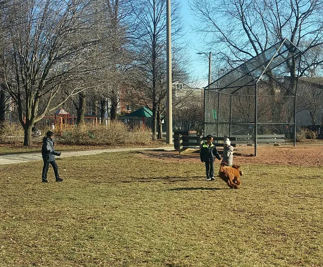 Wrightwood Park Playground
