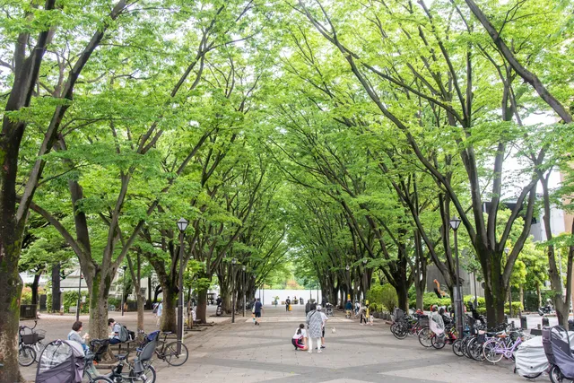 Bajikoenmae Ryokuchi Park