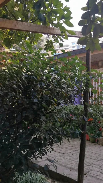 Maua Cafe and Activities