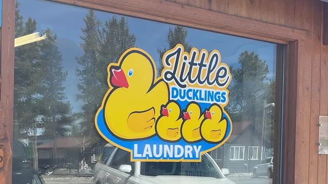 Little Ducklings Laundry